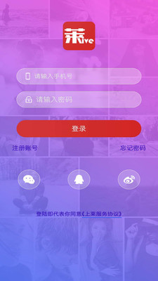 安卓上莱直播最新版app