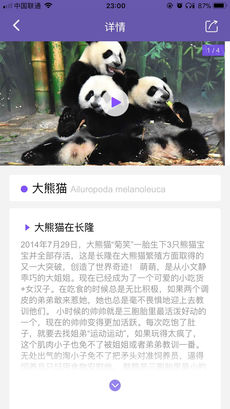 长隆i动物ios版app下载