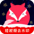 飞狐视频app