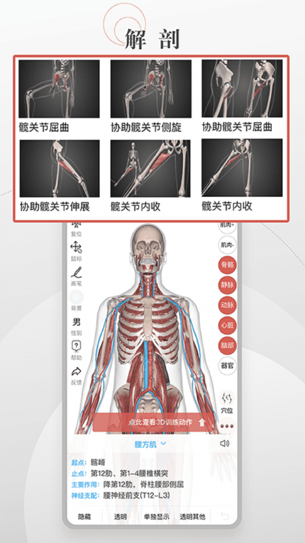 安卓3d运动健康app