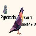 pigeoncoin鸽子币交易平台app