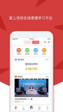 安卓云岭先锋手机版app