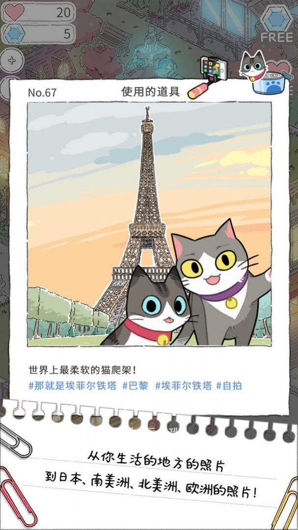 猫友圈猫咪的旅行app下载