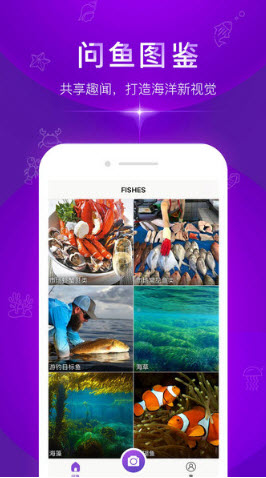 拍照识别鱼品种app