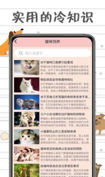 安卓小猫交流器app