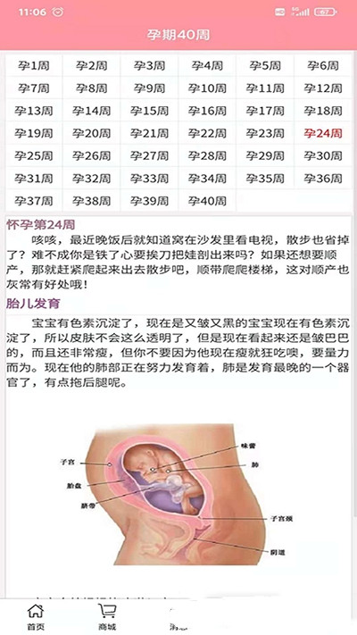 安卓孕婴安软件下载