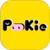 pookie扑奇潮玩盲盒app