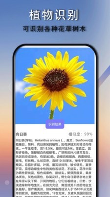 安卓拍照识别识物免费版软件下载