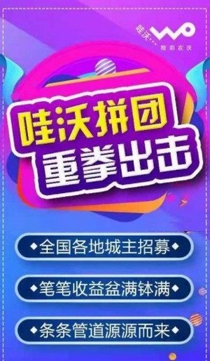 安卓哇沃拼团app