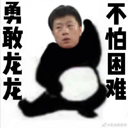 可爱龙龙不怕困难原图表情包