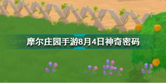 摩尔庄园手游8月4日神奇密码是什么 8月4日神奇密码分享