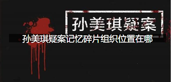 孙美琪疑案记忆碎片组织位置在哪