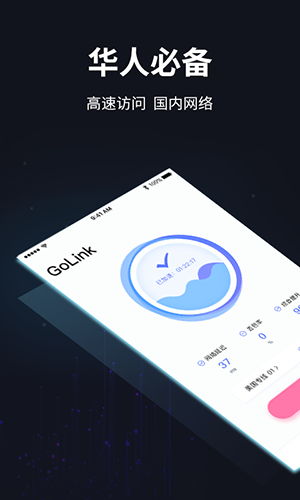 golink加速器 国内版