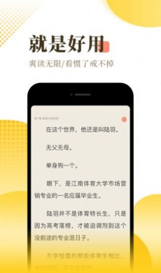 安卓渡光小阅appapp