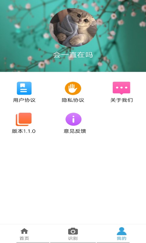 安卓丛林宝典appapp