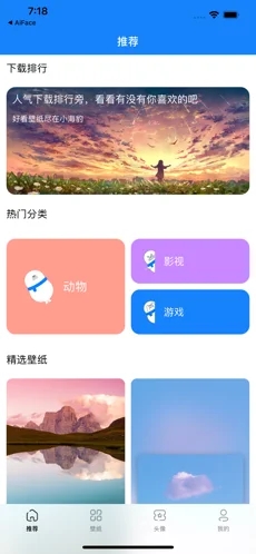 小海豹壁纸