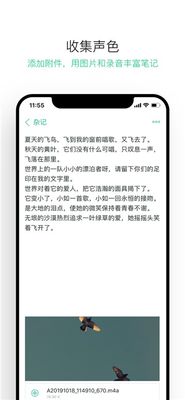 安卓随笔记appapp