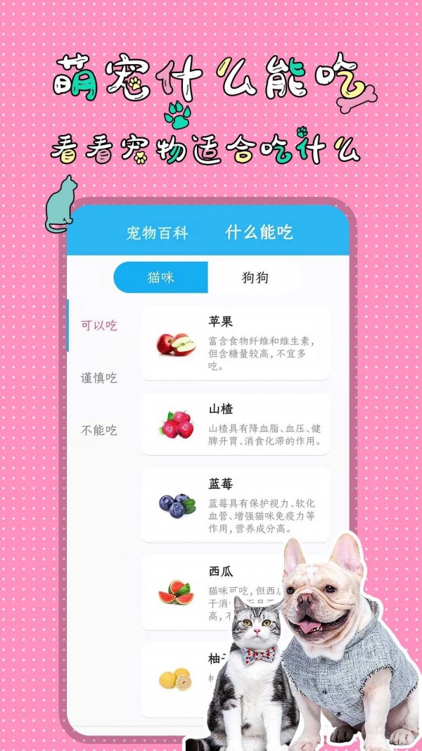 安卓人猫人狗翻译交流器app