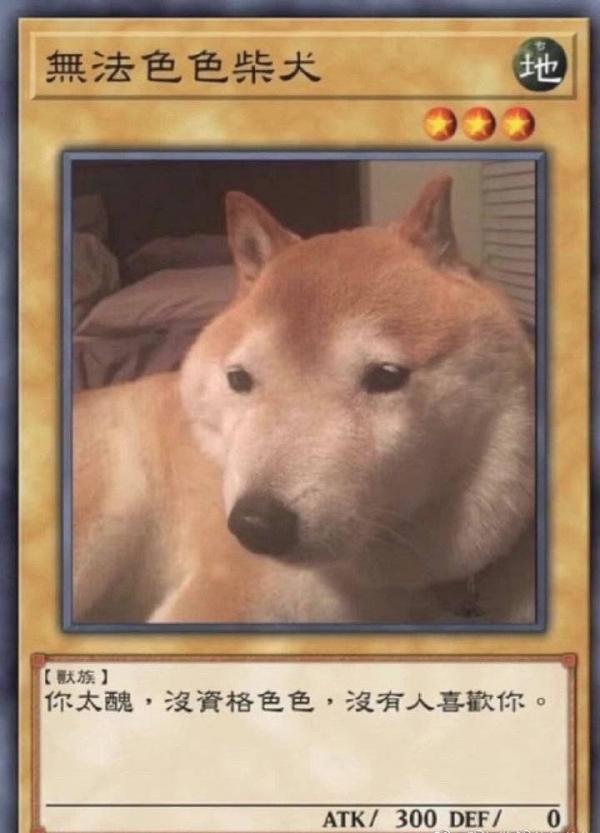 安卓不可以色柴犬表情包app