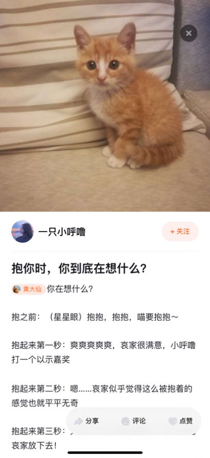 安卓铲屎啦appapp