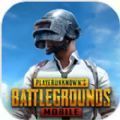 pubg mobile吃鸡国际服官方正版下载安装 1.7.0