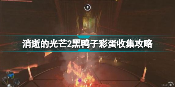 消逝的光芒2黑鸭子位置汇总 消逝的光芒2黑鸭子彩蛋收集攻略