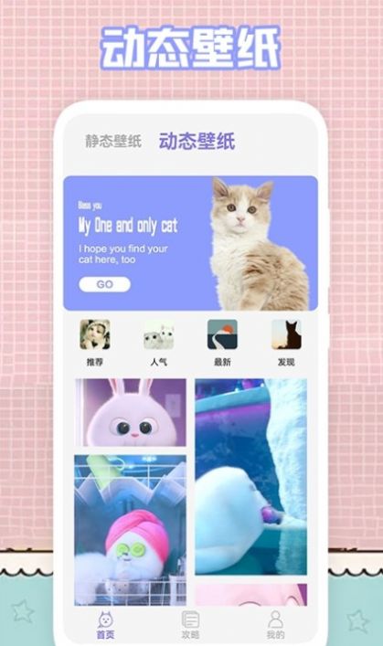 安卓我的猫咪壁纸appapp