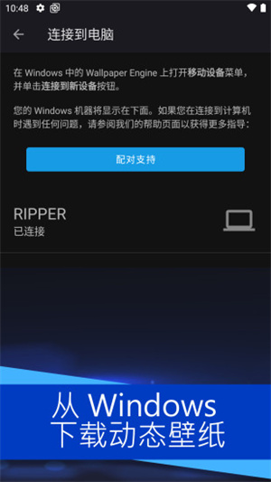 麻匪动态壁纸app下载